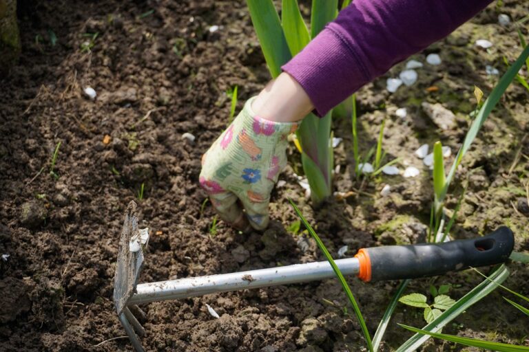 Wiosenne Prace Ogrodowe: Przygotuj Swój Ogród na Sezon
